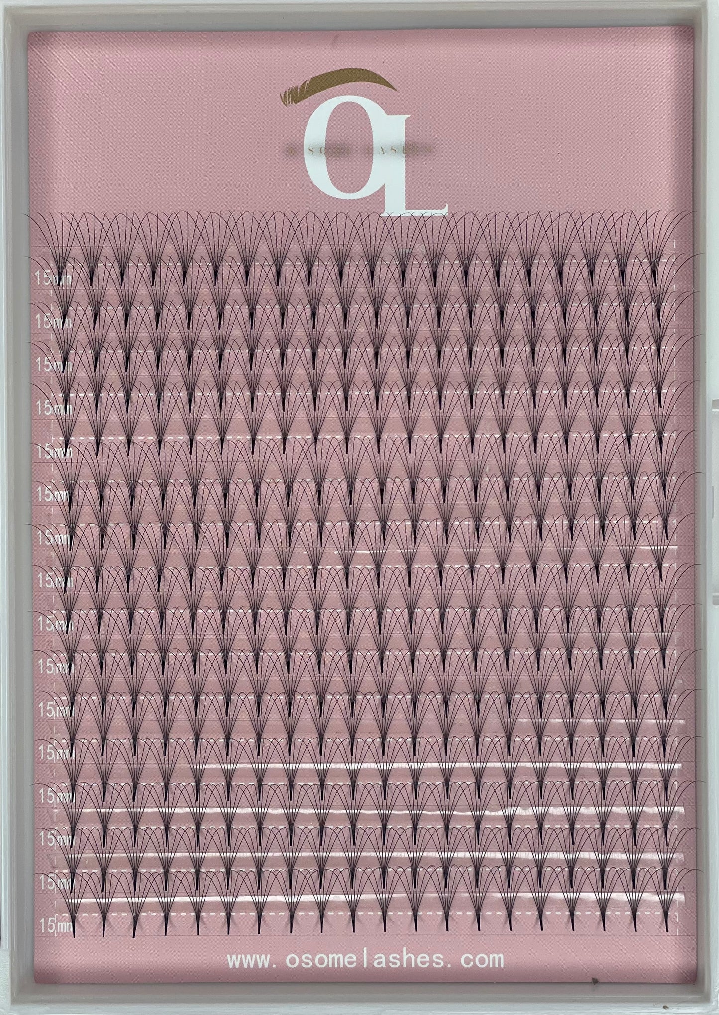 Lash 6D XL Trays 320 Fans